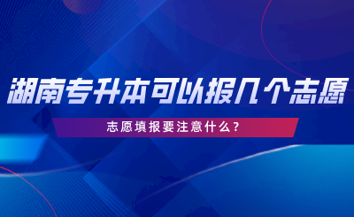 湖南專升本可以報(bào)幾個(gè)志愿？志愿填報(bào)要注意什么.png