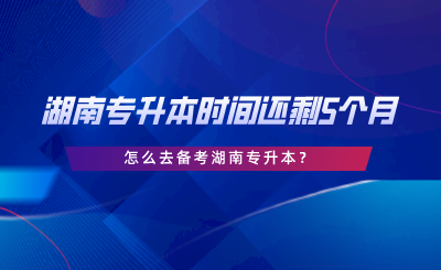 湖南專升本時(shí)間還剩5個(gè)月，怎么去備考湖南專升本.png