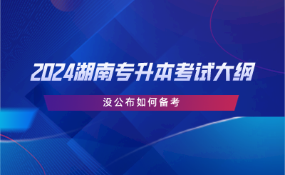 2024湖南專升本考試大綱沒(méi)公布如何備考.png