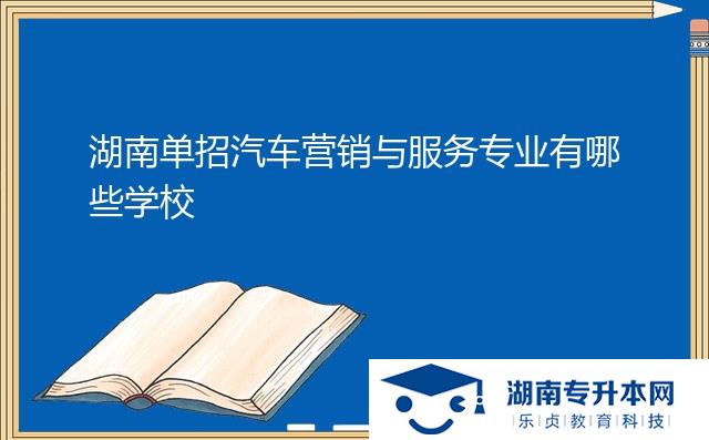 湖南單招汽車營銷與服務(wù)專業(yè)有哪些學校