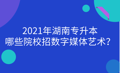 2021年湖南專升本哪些院校招數(shù)字媒體藝術？.png