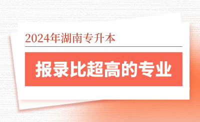 2024年湖南專升本報錄比超高的專業(yè)