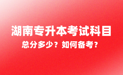 2025年湖南專升本考試科目總分多少？如何備考？