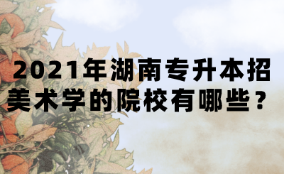 2021年湖南專升本招美術學的院校有哪些？(圖1)