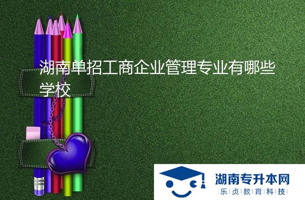 湖南單招工商企業(yè)管理專業(yè)有哪些學校