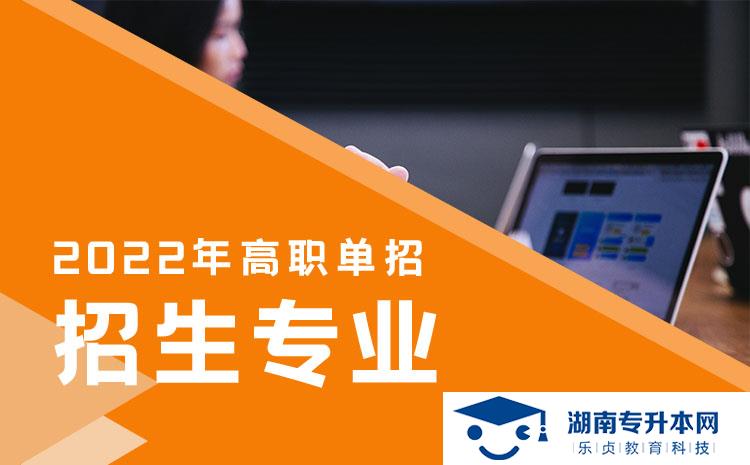 2022年湖南省單招展示藝術設計專業(yè)有哪些學校(圖1)