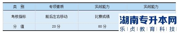 2023年邵陽學(xué)院專升本羽毛球測(cè)試細(xì)則及評(píng)分標(biāo)準(zhǔn)(圖2)