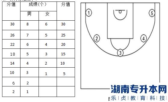 2023年邵陽學院專升本籃球測試細則及評分標準(圖3)