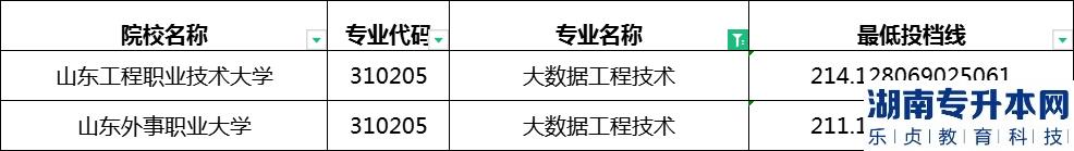 2023年山東專升本大數(shù)據(jù)工程技術(shù)專業(yè)最低投檔分?jǐn)?shù)線