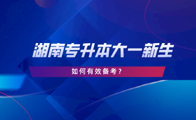 湖南專升本大一新生如何備考？新生必看指南！